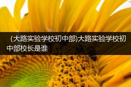 （大路实验学校初中部)大路实验学校初中部校长是谁
