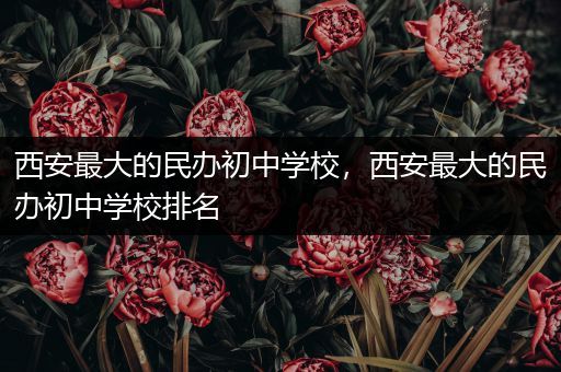 西安最大的民办初中学校，西安最大的民办初中学校排名