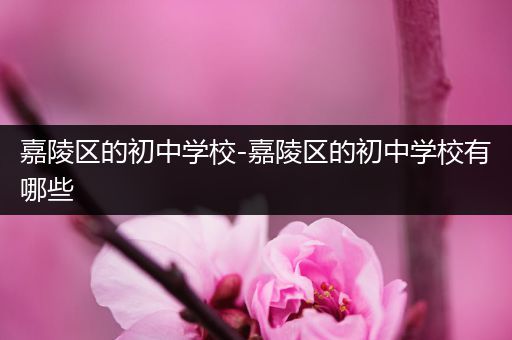 嘉陵区的初中学校-嘉陵区的初中学校有哪些