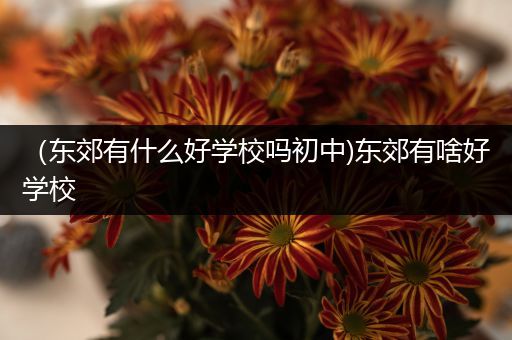 （东郊有什么好学校吗初中)东郊有啥好学校
