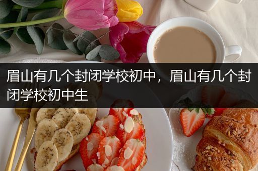 眉山有几个封闭学校初中，眉山有几个封闭学校初中生