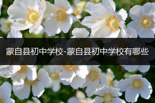 蒙自县初中学校-蒙自县初中学校有哪些