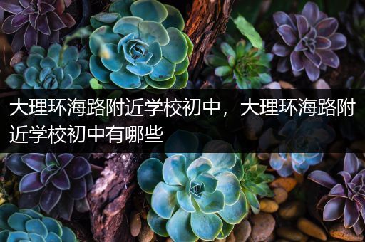 大理环海路附近学校初中，大理环海路附近学校初中有哪些