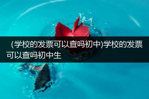 （学校的发票可以查吗初中)学校的发票可以查吗初中生
