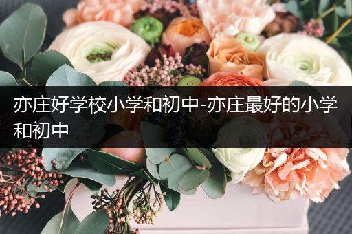 亦庄好学校小学和初中-亦庄最好的小学和初中