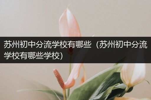 苏州初中分流学校有哪些（苏州初中分流学校有哪些学校）