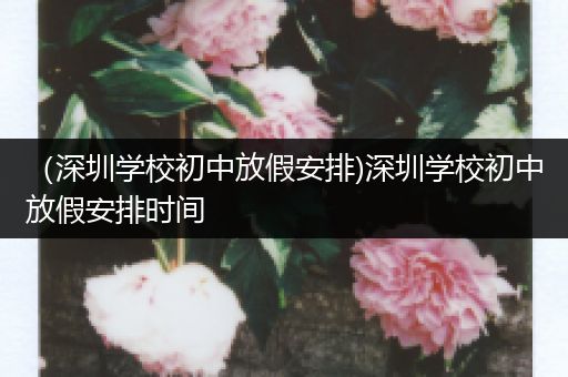 （深圳学校初中放假安排)深圳学校初中放假安排时间