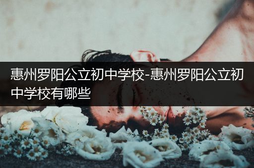 惠州罗阳公立初中学校-惠州罗阳公立初中学校有哪些