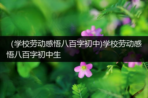 （学校劳动感悟八百字初中)学校劳动感悟八百字初中生