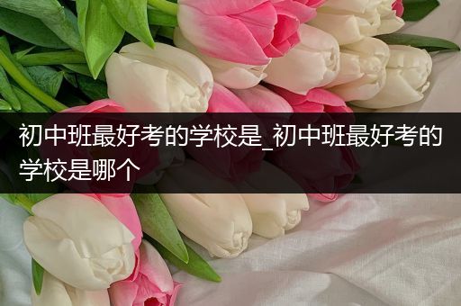 初中班最好考的学校是_初中班最好考的学校是哪个