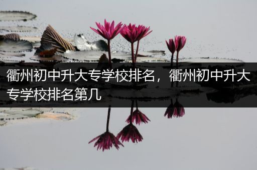 衢州初中升大专学校排名，衢州初中升大专学校排名第几
