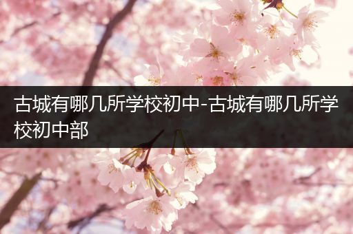 古城有哪几所学校初中-古城有哪几所学校初中部