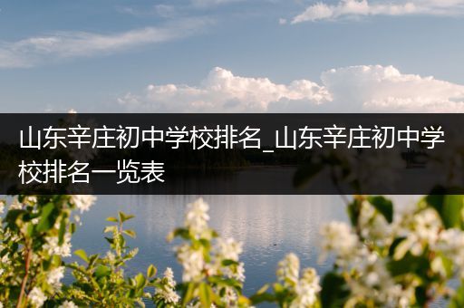 山东辛庄初中学校排名_山东辛庄初中学校排名一览表