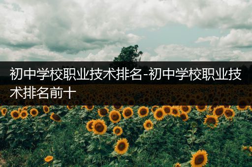 初中学校职业技术排名-初中学校职业技术排名前十