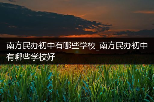 南方民办初中有哪些学校_南方民办初中有哪些学校好