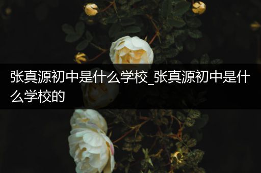 张真源初中是什么学校_张真源初中是什么学校的