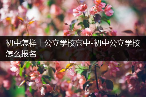初中怎样上公立学校高中-初中公立学校怎么报名