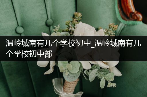 温岭城南有几个学校初中_温岭城南有几个学校初中部
