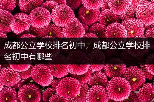 成都公立学校排名初中，成都公立学校排名初中有哪些