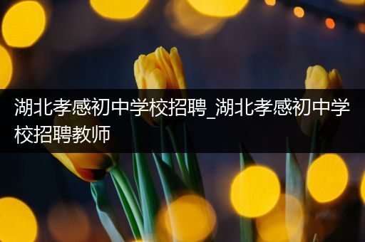 湖北孝感初中学校招聘_湖北孝感初中学校招聘教师