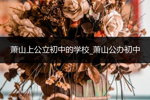 萧山上公立初中的学校_萧山公办初中