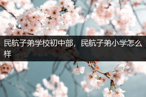 民航子弟学校初中部，民航子弟小学怎么样