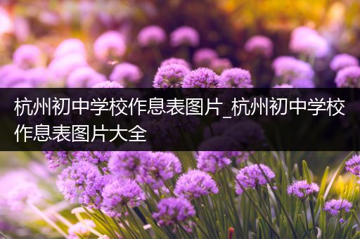 杭州初中学校作息表图片_杭州初中学校作息表图片大全