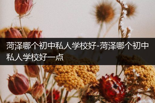 菏泽哪个初中私人学校好-菏泽哪个初中私人学校好一点