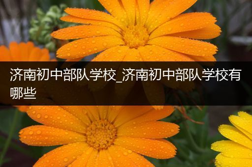 济南初中部队学校_济南初中部队学校有哪些