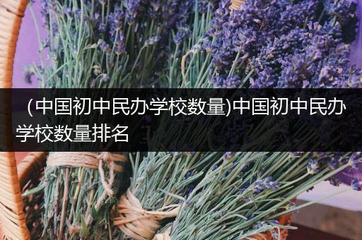 （中国初中民办学校数量)中国初中民办学校数量排名