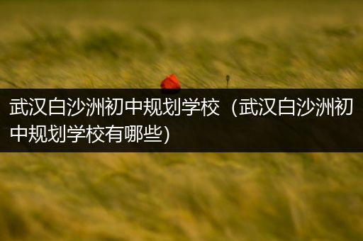 武汉白沙洲初中规划学校（武汉白沙洲初中规划学校有哪些）