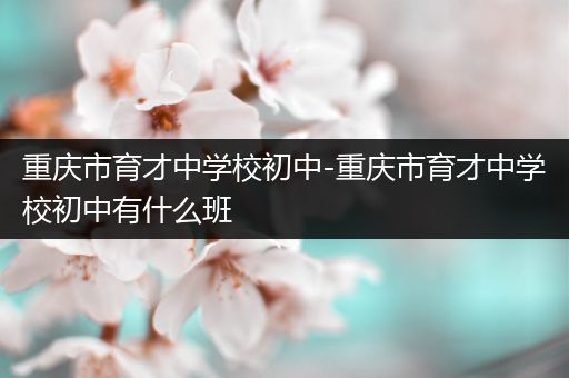 重庆市育才中学校初中-重庆市育才中学校初中有什么班
