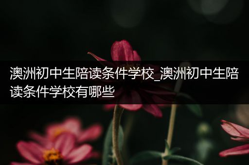 澳洲初中生陪读条件学校_澳洲初中生陪读条件学校有哪些