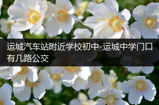 运城汽车站附近学校初中-运城中学门口有几路公交
