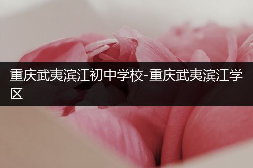 重庆武夷滨江初中学校-重庆武夷滨江学区
