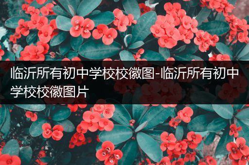 临沂所有初中学校校徽图-临沂所有初中学校校徽图片