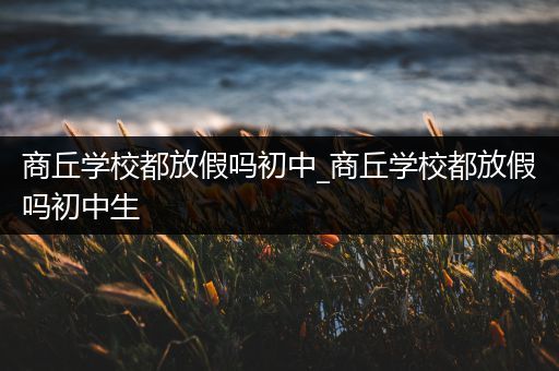 商丘学校都放假吗初中_商丘学校都放假吗初中生