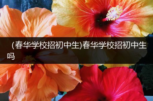 （春华学校招初中生)春华学校招初中生吗