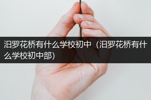 汨罗花桥有什么学校初中（汨罗花桥有什么学校初中部）