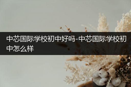 中芯国际学校初中好吗-中芯国际学校初中怎么样