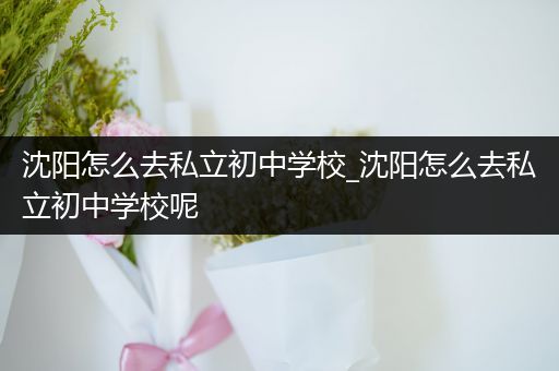 沈阳怎么去私立初中学校_沈阳怎么去私立初中学校呢