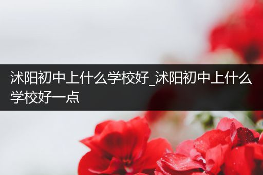 沭阳初中上什么学校好_沭阳初中上什么学校好一点