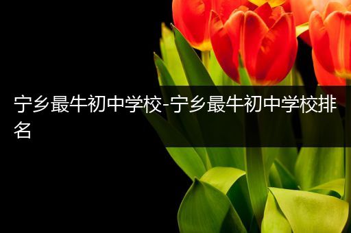 宁乡最牛初中学校-宁乡最牛初中学校排名