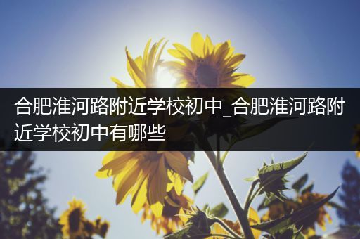 合肥淮河路附近学校初中_合肥淮河路附近学校初中有哪些
