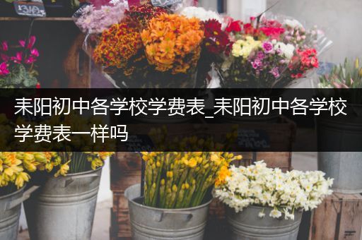 耒阳初中各学校学费表_耒阳初中各学校学费表一样吗