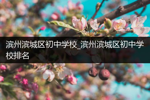 滨州滨城区初中学校_滨州滨城区初中学校排名