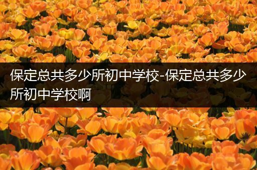 保定总共多少所初中学校-保定总共多少所初中学校啊