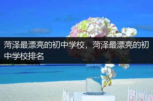 菏泽最漂亮的初中学校，菏泽最漂亮的初中学校排名