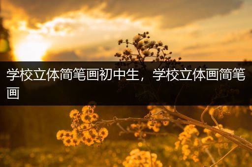 学校立体简笔画初中生，学校立体画简笔画