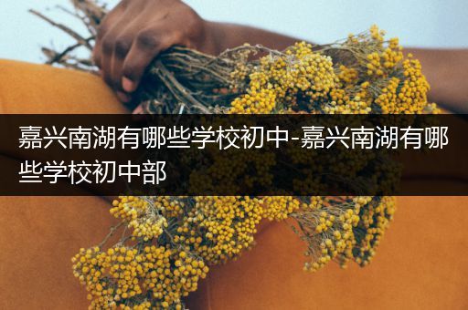 嘉兴南湖有哪些学校初中-嘉兴南湖有哪些学校初中部